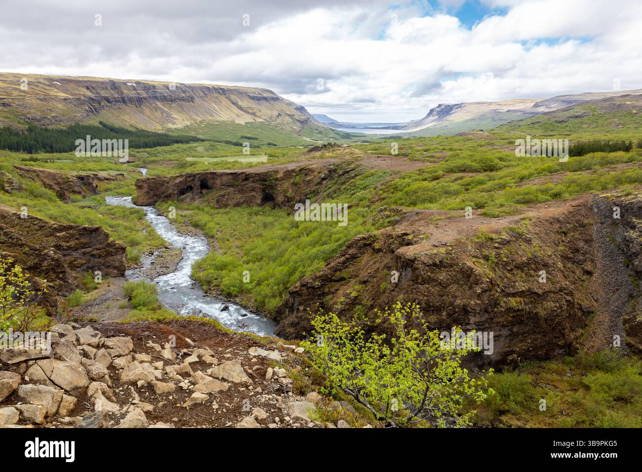 Vista del Glymur Canyon e del paesaggio di Hvalfjordur a Vesturland, Islanda, con verdi montagne, tortuoso fiume Botnsa e vista mare in lontananza. Foto Stock