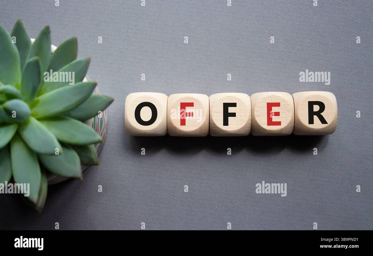Simbolo dell'offerta. Cubi di legno con offerta di parola. Splendido sfondo grigio con piante succulente. Concetto di business e offerta. Copia spazio. Foto Stock