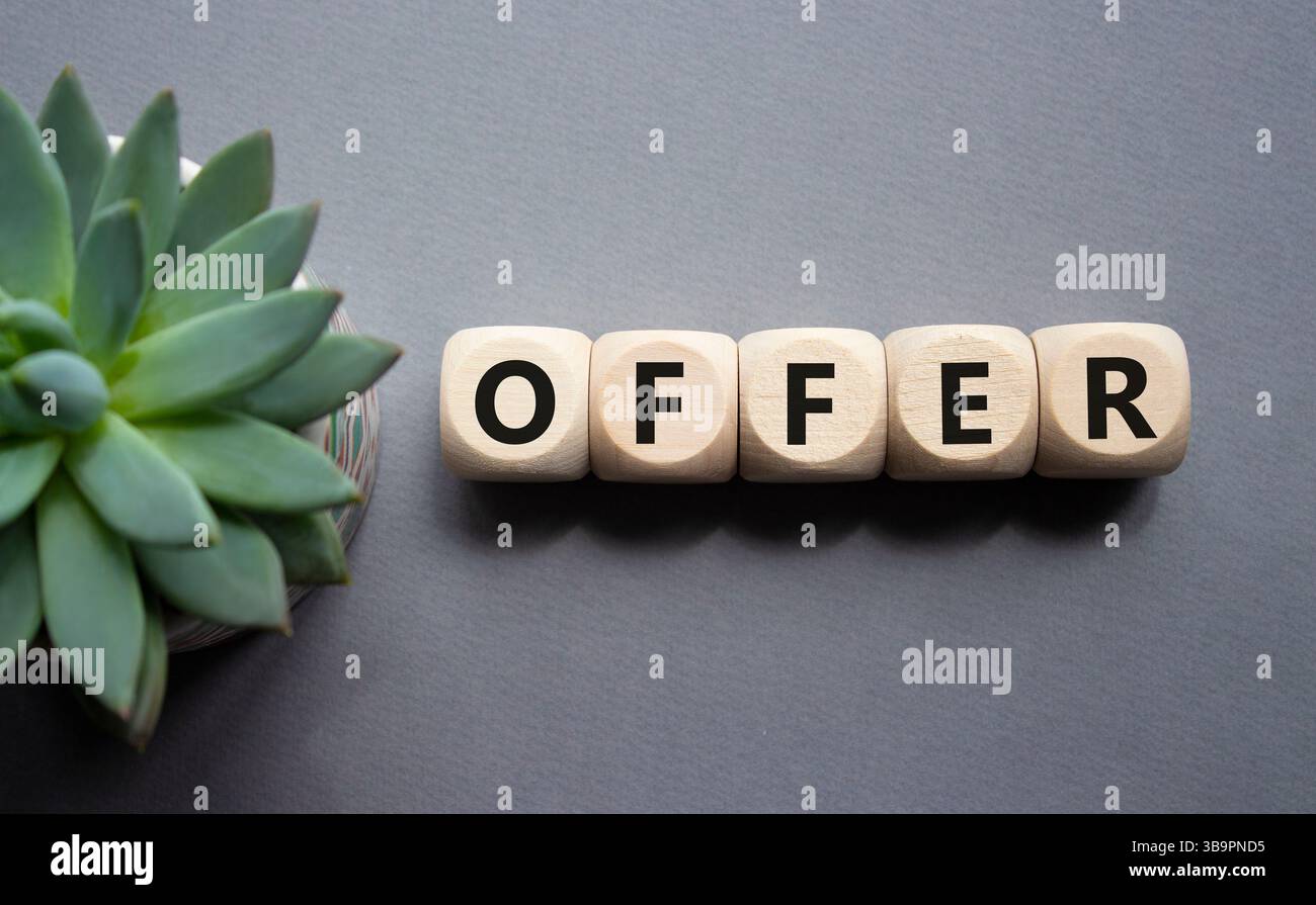 Simbolo dell'offerta. Cubi di legno con offerta di parola. Splendido sfondo grigio con piante succulente. Concetto di business e offerta. Copia spazio. Foto Stock