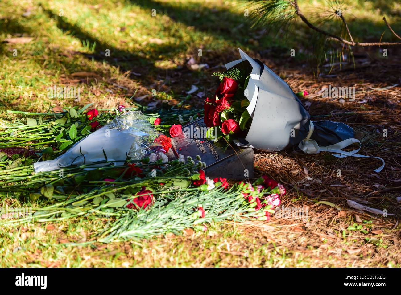 Melbourne, Australia. 10 maggio 2025. Targa commemorativa dei veterani della seconda guerra mondiale provenienti dall'ex Unione Sovietica vista al Santuario della memoria per commemorare il giorno della Vittoria. Credito: SOPA Images Limited/Alamy Live News Foto Stock