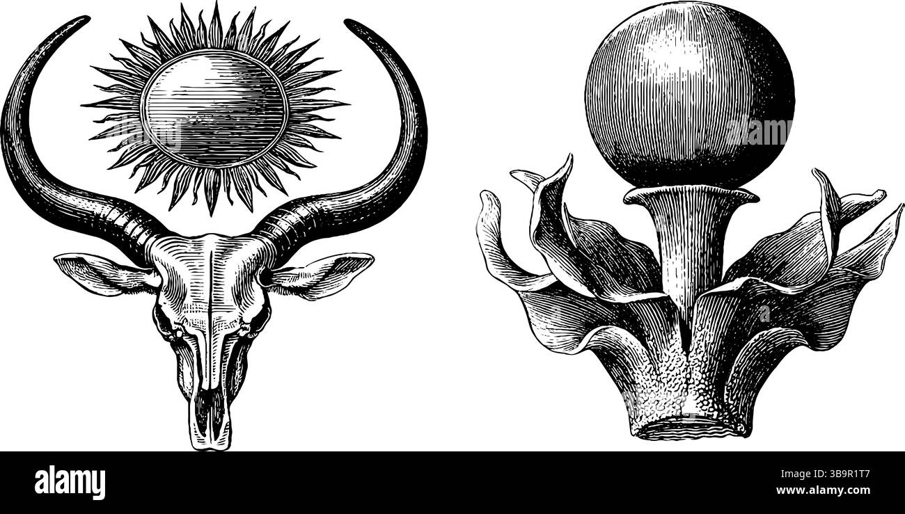 Set illustrativo inciso con corna hathor e simbolo del sole per il design culturale. Illustrazione Vettoriale