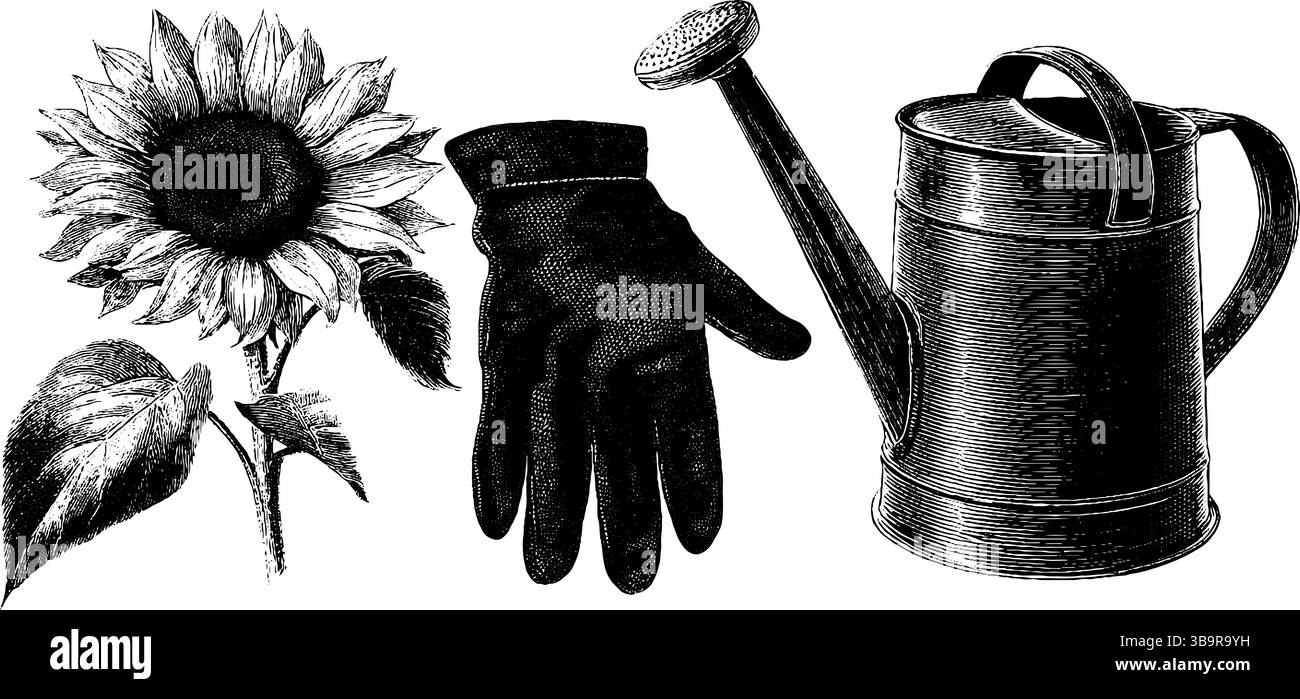 Elementi da giardinaggio vintage con girasole, annaffiatoio e guanti per un design botanico. Illustrazione Vettoriale