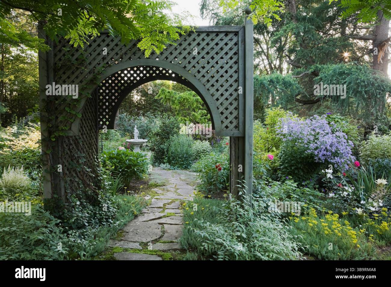 Sentiero in pietra ammiraglia attraverso un mandrino in legno delimitato da arbusti di Kerria japonica «Picta» e mauve Campanula lactiflora «varietà di Prichard» in estate. Foto Stock
