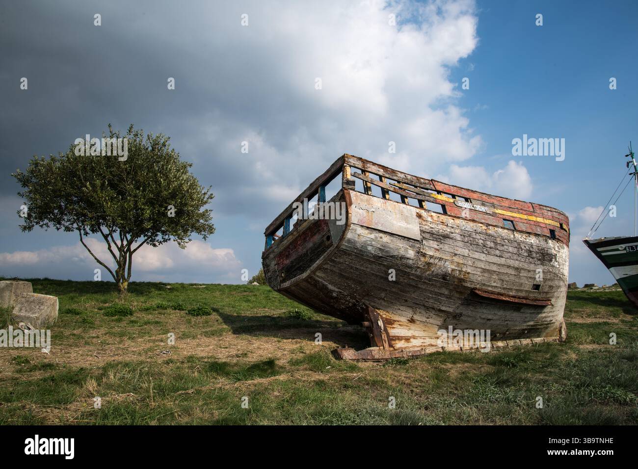 Barca di legno abbandonata sulla riva, che decadde sotto la luce del sole con una nuvola grigia dietro. Un piccolo albero nelle vicinanze aggiunge contrasto a questa scena nostalgica e lunare. Foto Stock