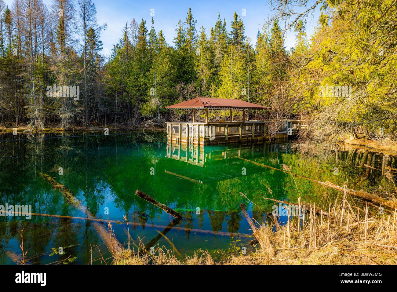 Foto di acque cristalline color smeraldo con zattera di osservazione al Kitch iti kipi nel Palms Book State Park Michigan, nella luminosa mattinata di sole. Foto Stock