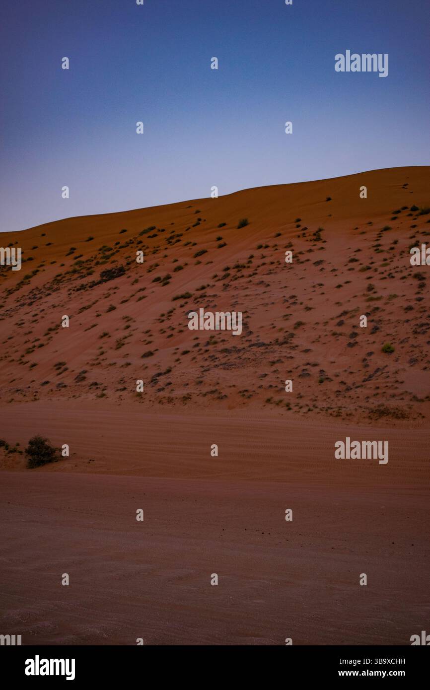 Oman, Medio Oriente: Una duna di sabbia rossa al tramonto a Wahiba Sands (Sharqiya Sands), il vasto deserto pieno di dune di sabbia, a sud della città di Sur Foto Stock