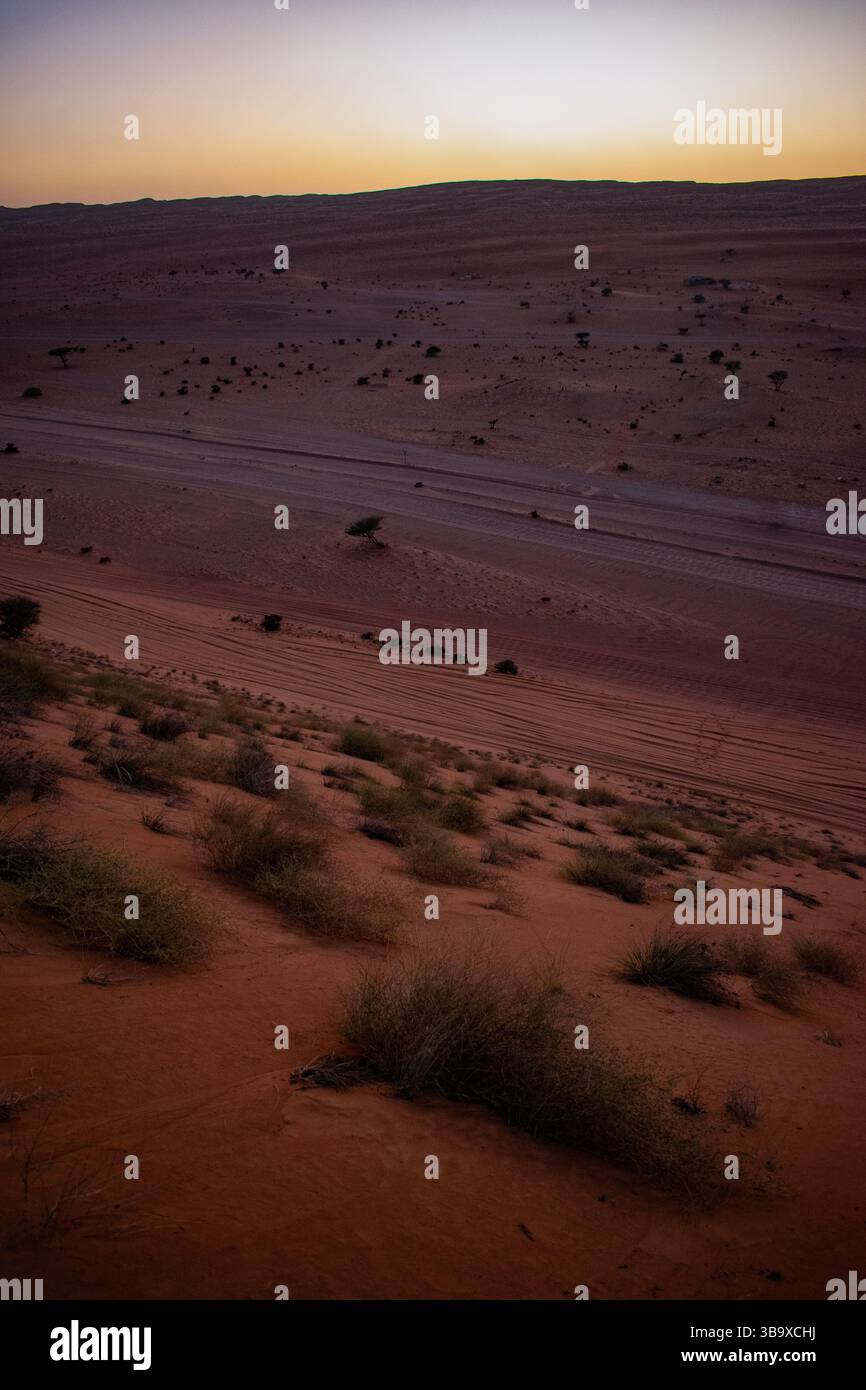 Oman, Medio Oriente: Una duna di sabbia rossa al tramonto a Wahiba Sands (Sharqiya Sands), il vasto deserto pieno di dune di sabbia, a sud della città di Sur Foto Stock