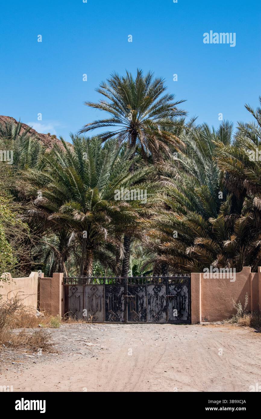 Oman, Medio Oriente: Una strada sterrata, un cancello e frutteti di palme, architettura araba Foto Stock