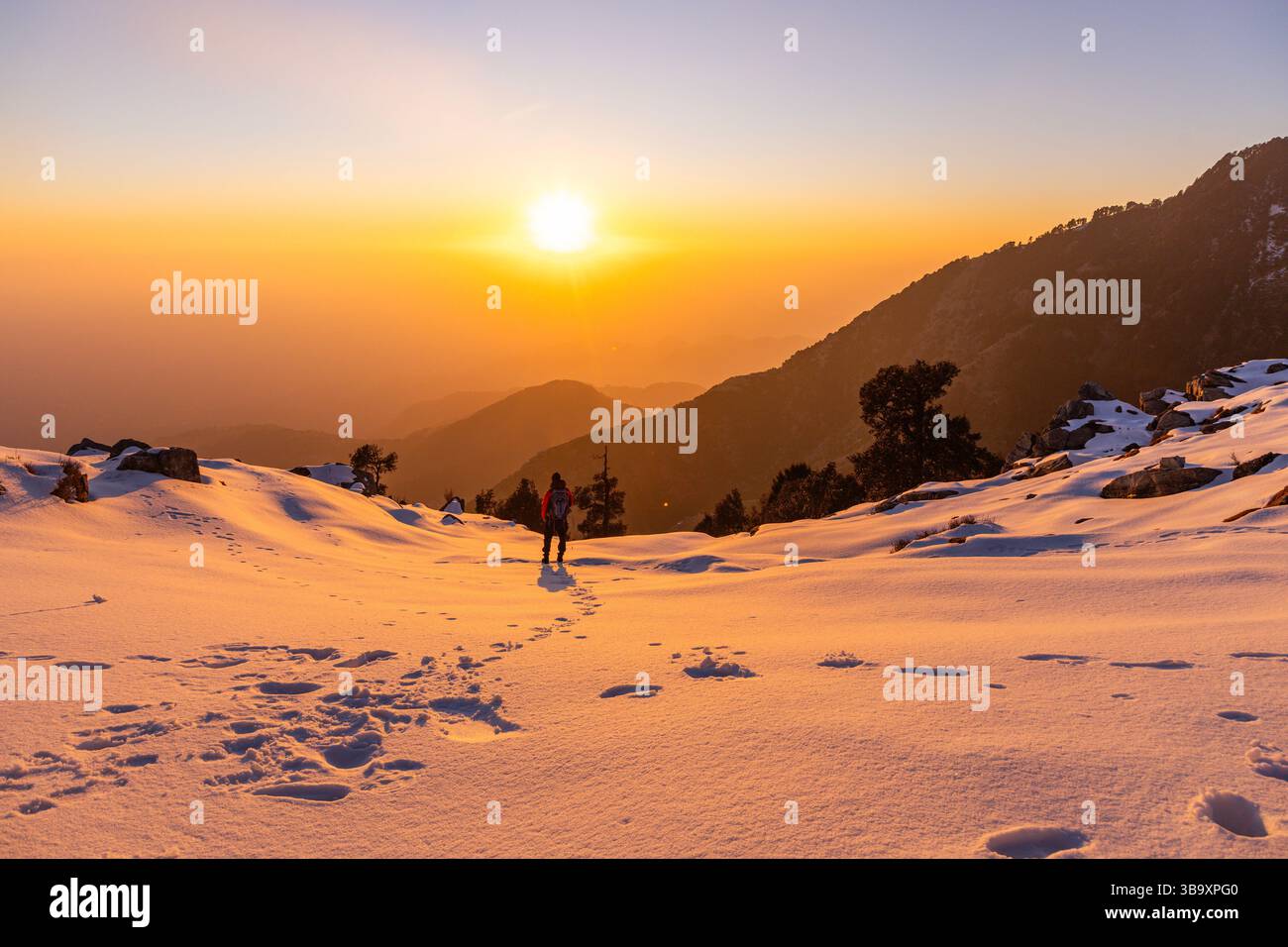 Varie vedute di Triund, Sharamshala Foto Stock