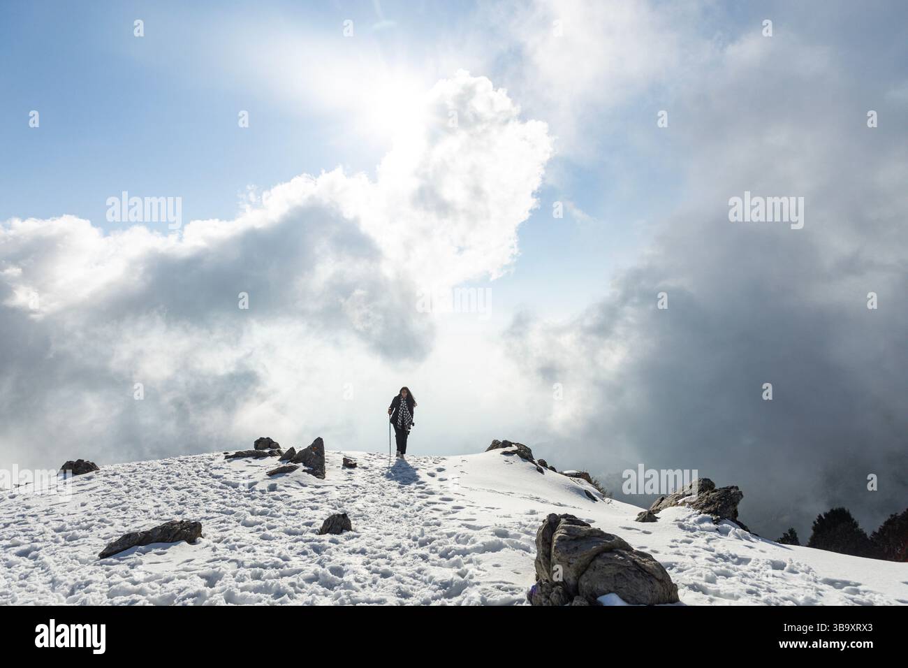 Varie vedute di Triund, Sharamshala Foto Stock