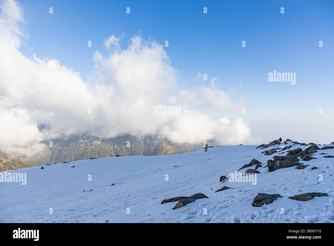 Varie vedute di Triund, Sharamshala Foto Stock