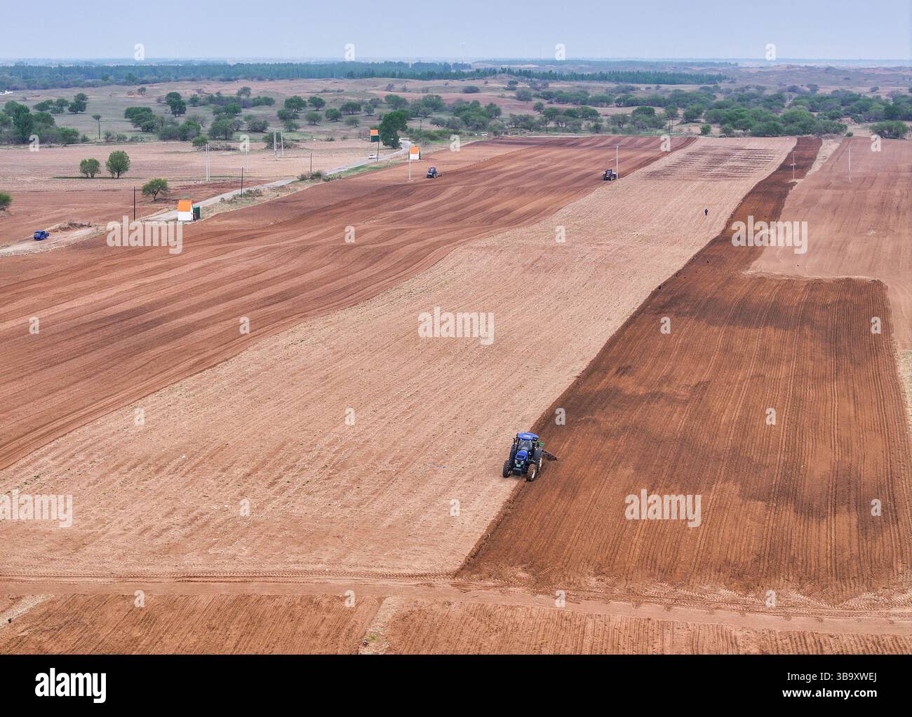 (250511) -- TONGLIAO, 11 maggio 2025 (Xinhua) -- una foto con un drone aereo scattata il 9 maggio 2025 mostra gli agricoltori che utilizzano trattori dotati di sistema di navigazione Beidou per arare nella bandiera posteriore dell'ala sinistra di Horqin della città di Tongliao, nella regione autonoma della Mongolia interna della Cina settentrionale. Approfittando delle tempestive piogge di maggio, Tongliao, un granaio della Mongolia interna orientale, è entrato nel periodo di picco della semina del mais. Si stima che la superficie di piantagione di mais di Tongliao nel 2025 raggiunga i 20 milioni di mu (circa 1,33 milioni di ettari), con un aumento di 180.000 mu (12.000 ettari) rispetto al precedente Foto Stock