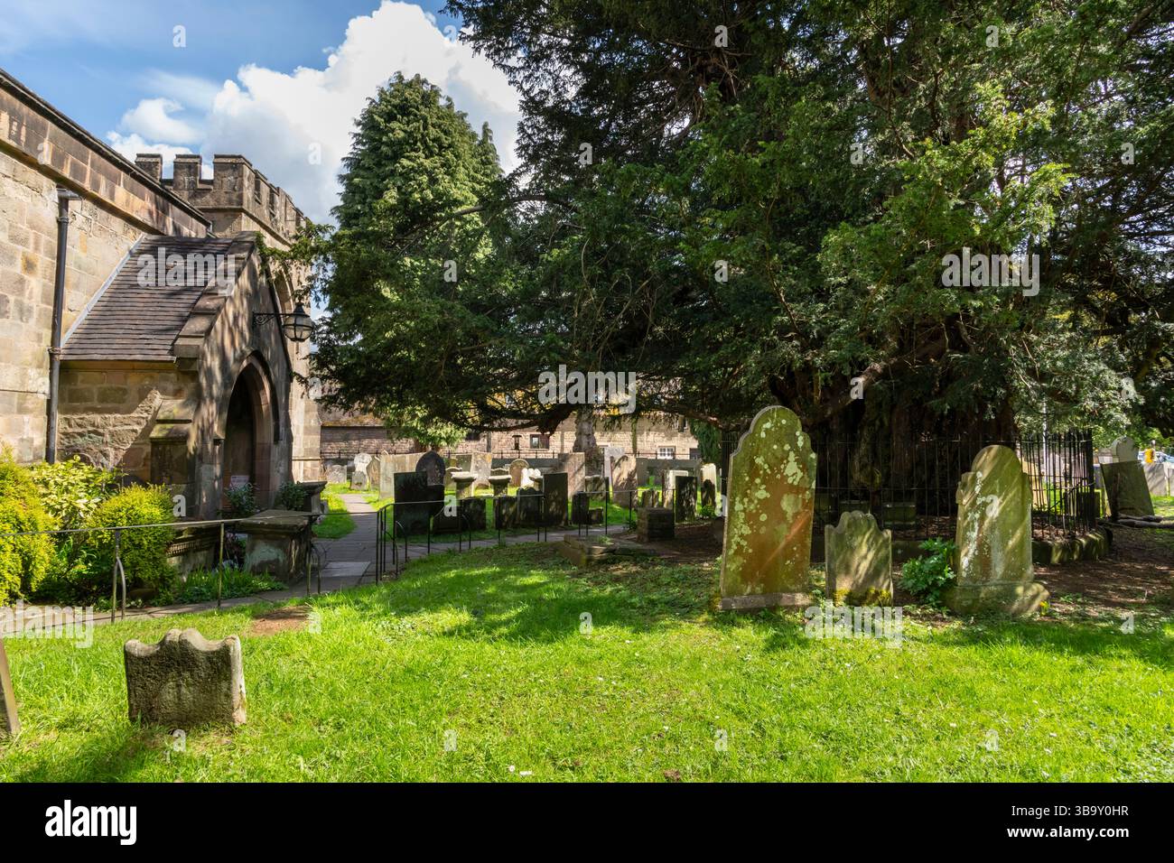 Il Darley Yew un antico albero nel cimitero della chiesa di Sant'Elena vicino a Matlock. Si pensa che abbia circa 2000 anni. Foto Stock