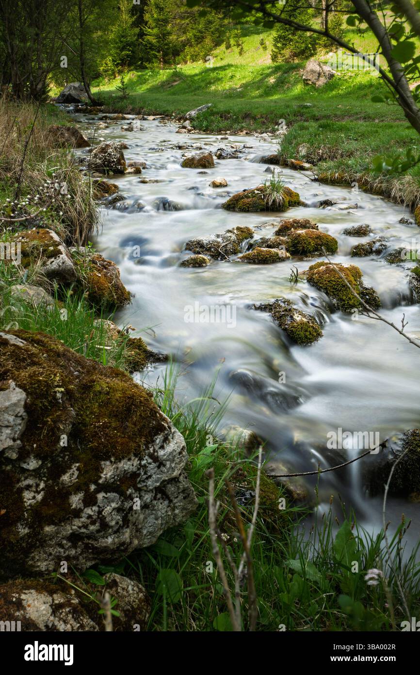 Esposizione verticale lunga del ruscello forestale con rocce e acqua corrente Foto Stock