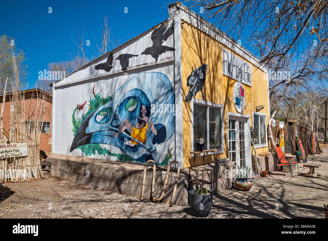 Murale dell'artista mia Mae in negozio nel villaggio di Hillsboro, New Mexico, Stati Uniti Foto Stock