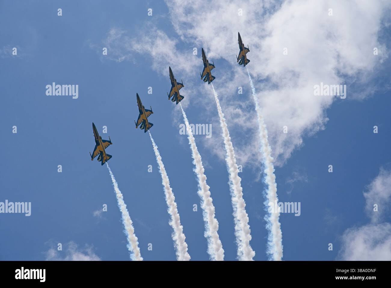 Republic of Korea Air Force Aerobatic display team, formazione Black Eagles in volo. Foto Stock
