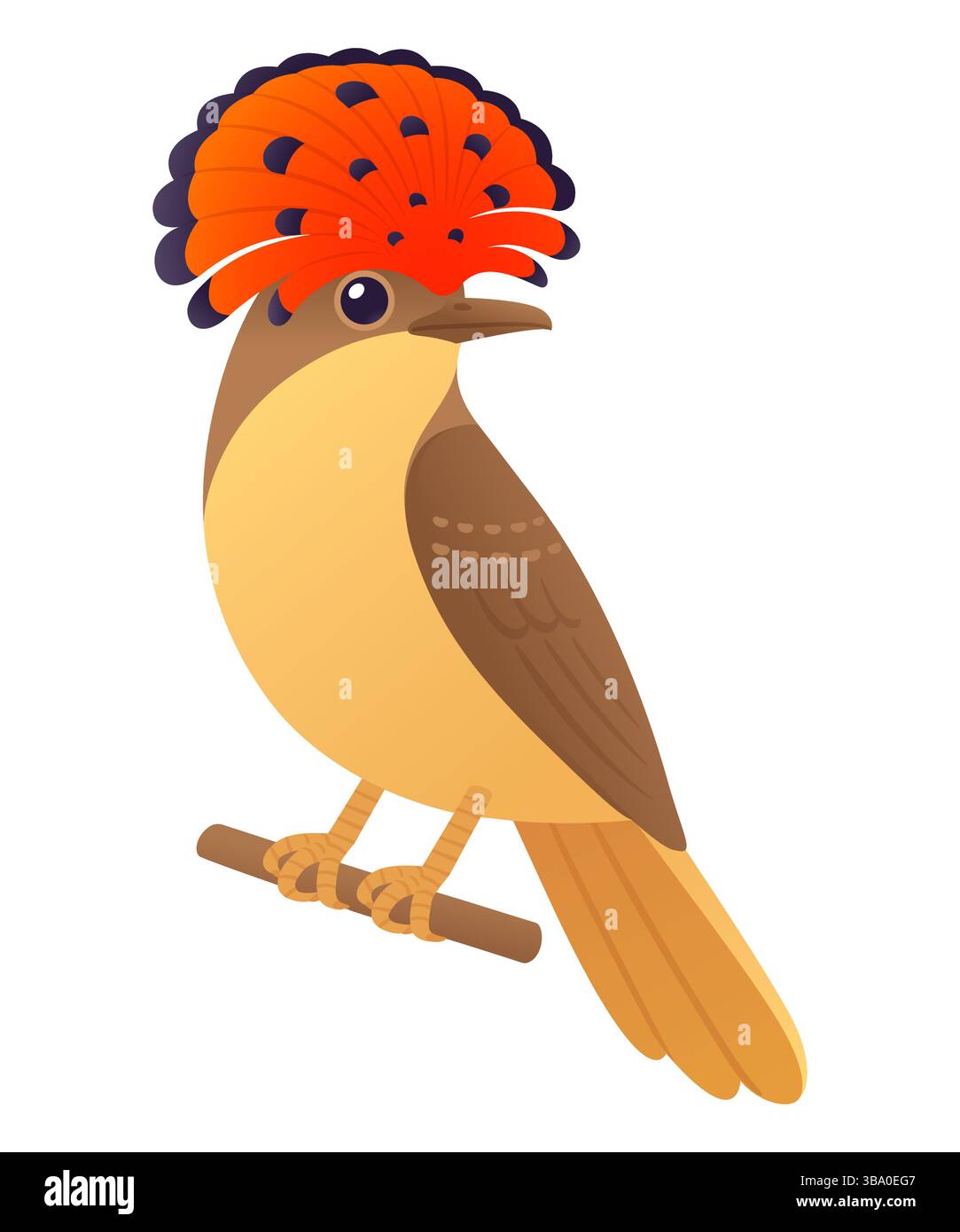 Il flycatcher reale amazzonico. Illustrazione vettoriale dei cartoni animati degli uccelli tropicali. Illustrazione Vettoriale