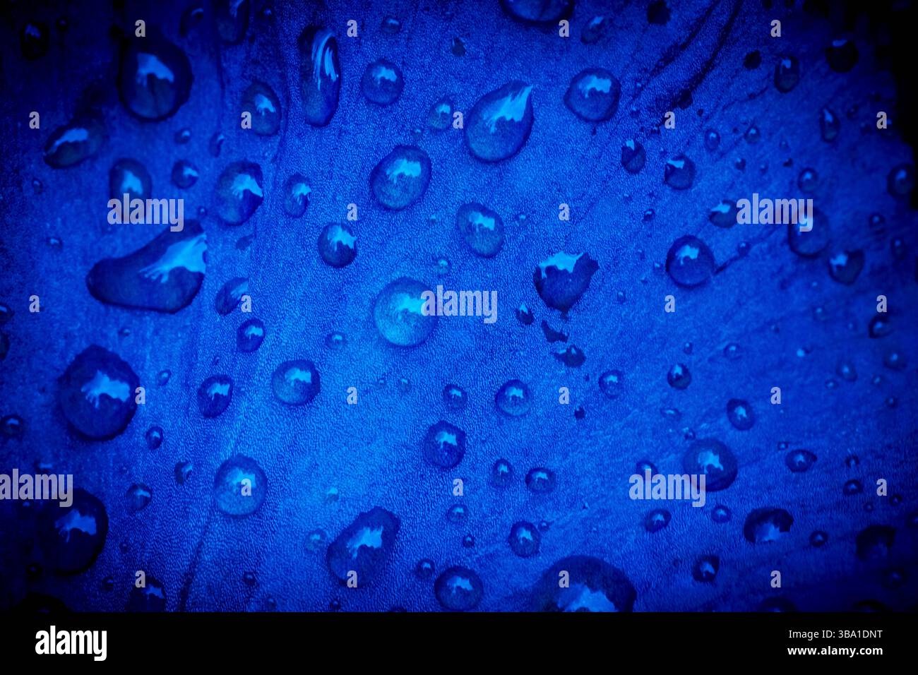 sfondo astratto del design della copertina: primo piano di petali di fiore blu scuro ricoperti da gocce di pioggia Foto Stock