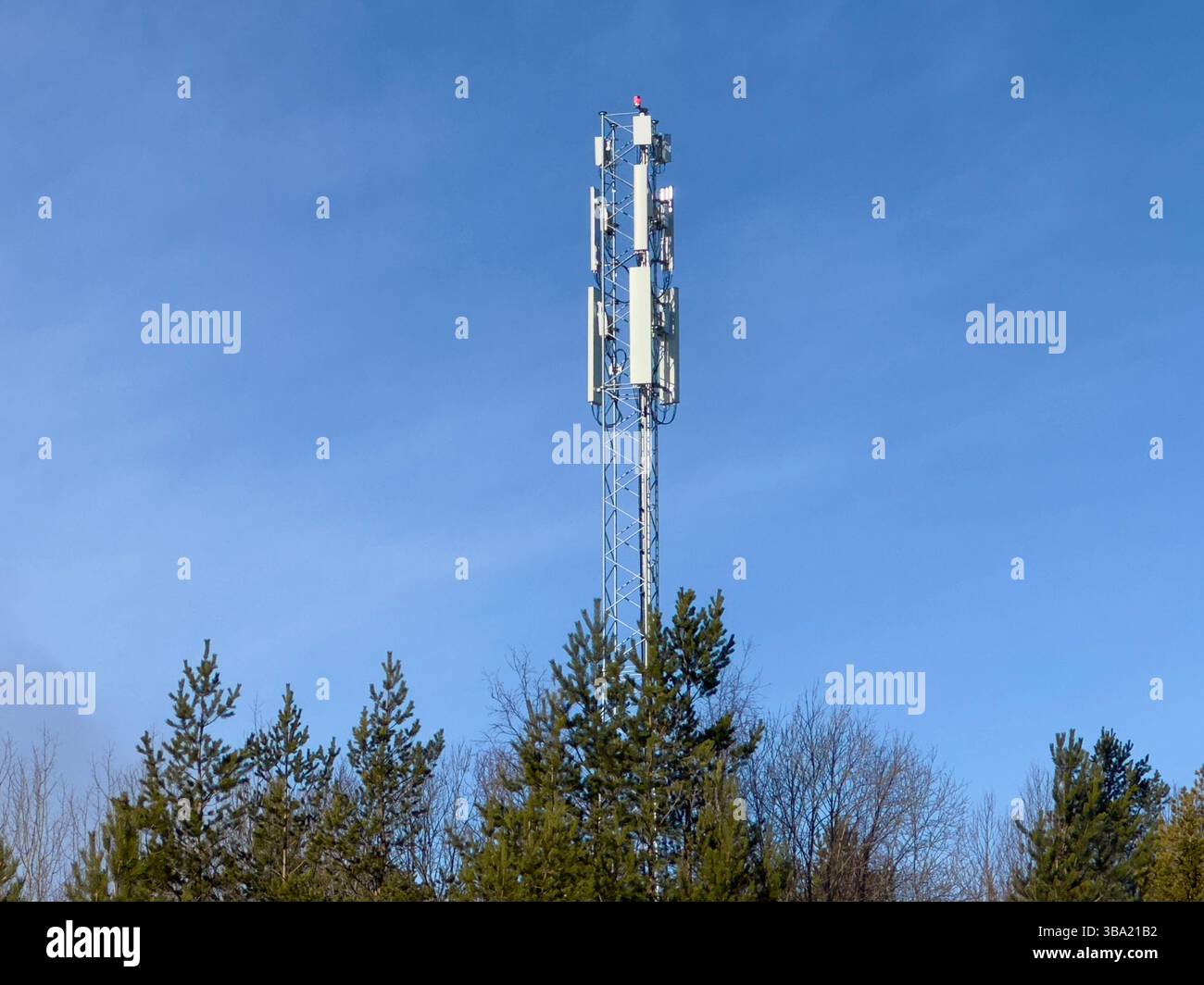 Una torre di celle si erge sopra gli alberi, offrendo un forte segnale contro un cielo blu brillante. Foto Stock
