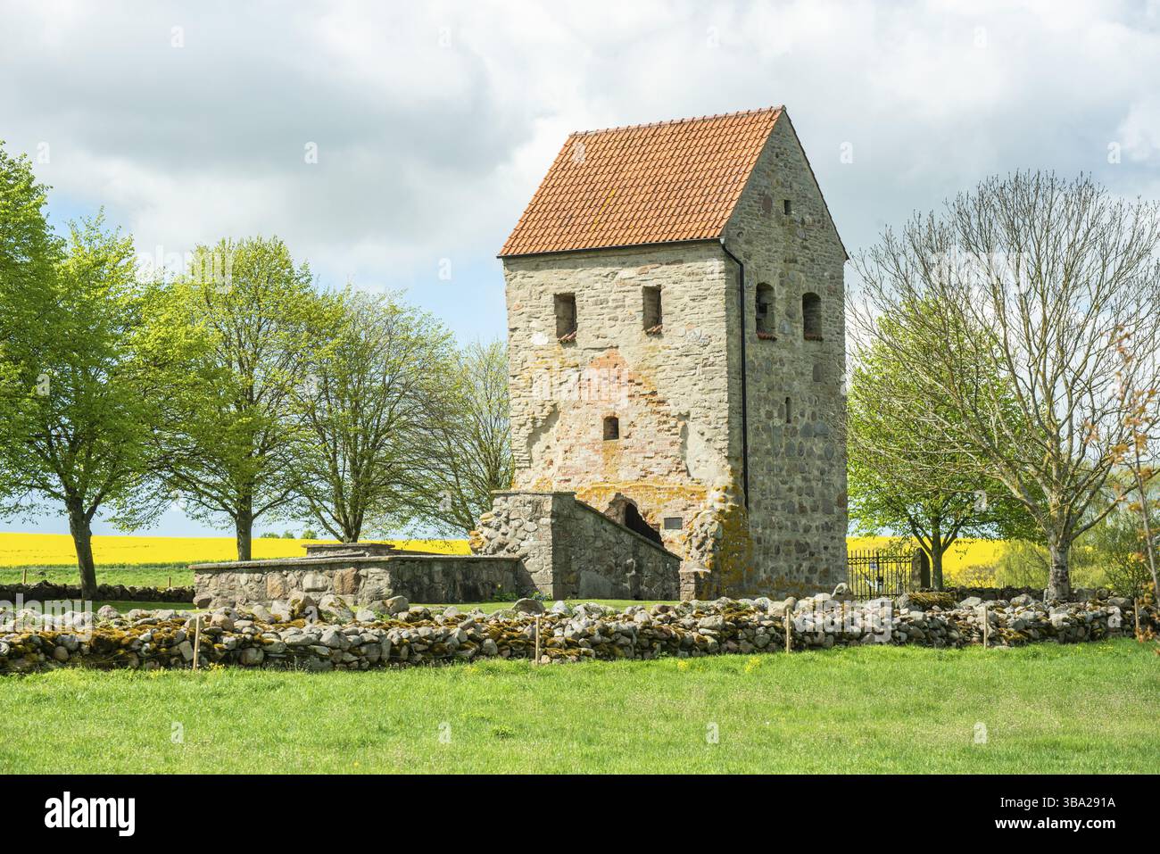 Rovine della chiesa di Nedraby, costruita nel XIII secolo e abbandonata nel 1635. Situato nel comune di Tomelilla, Skane County, Svezia, Scandinavia, Europa Foto Stock