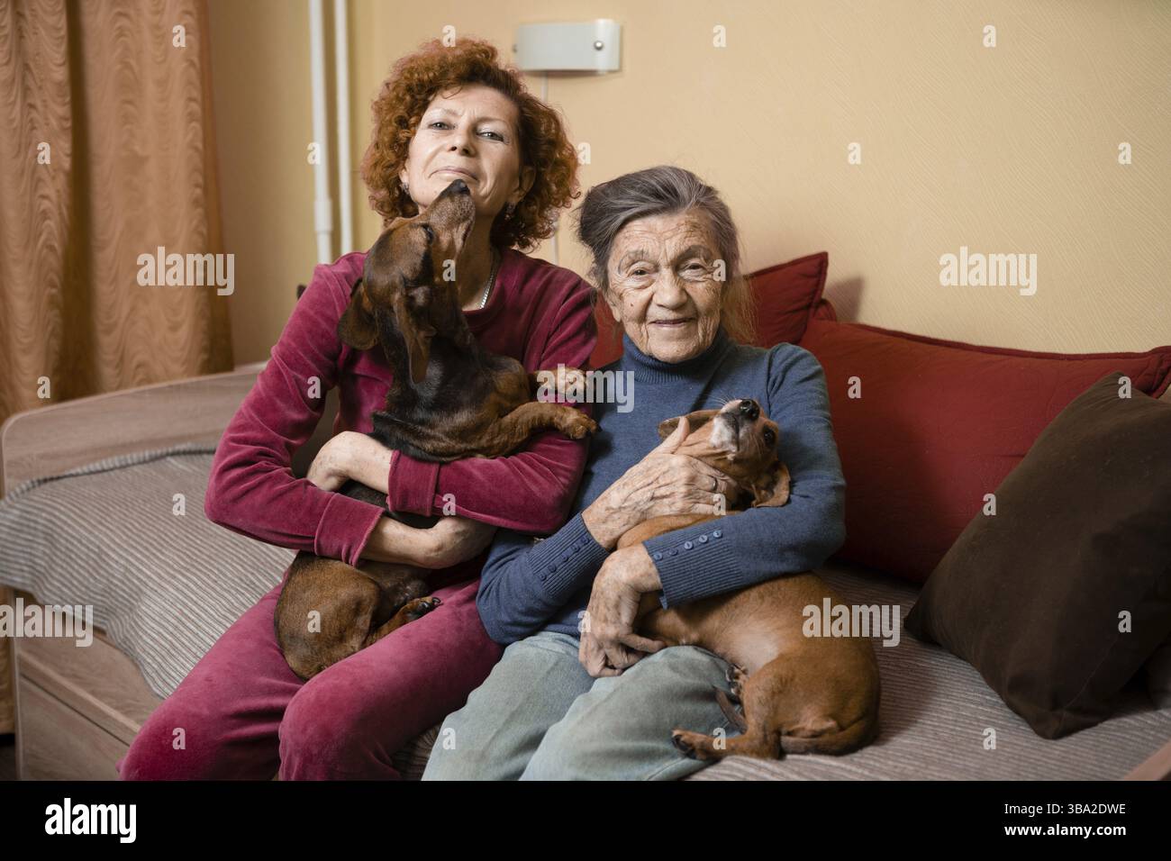 La donna adulta si prende cura della madre anziana con demenza, trascorrendo il tempo a casa con genitori e cani, sorridendo e rilassandosi felicemente al chiuso. Tema carino Foto Stock