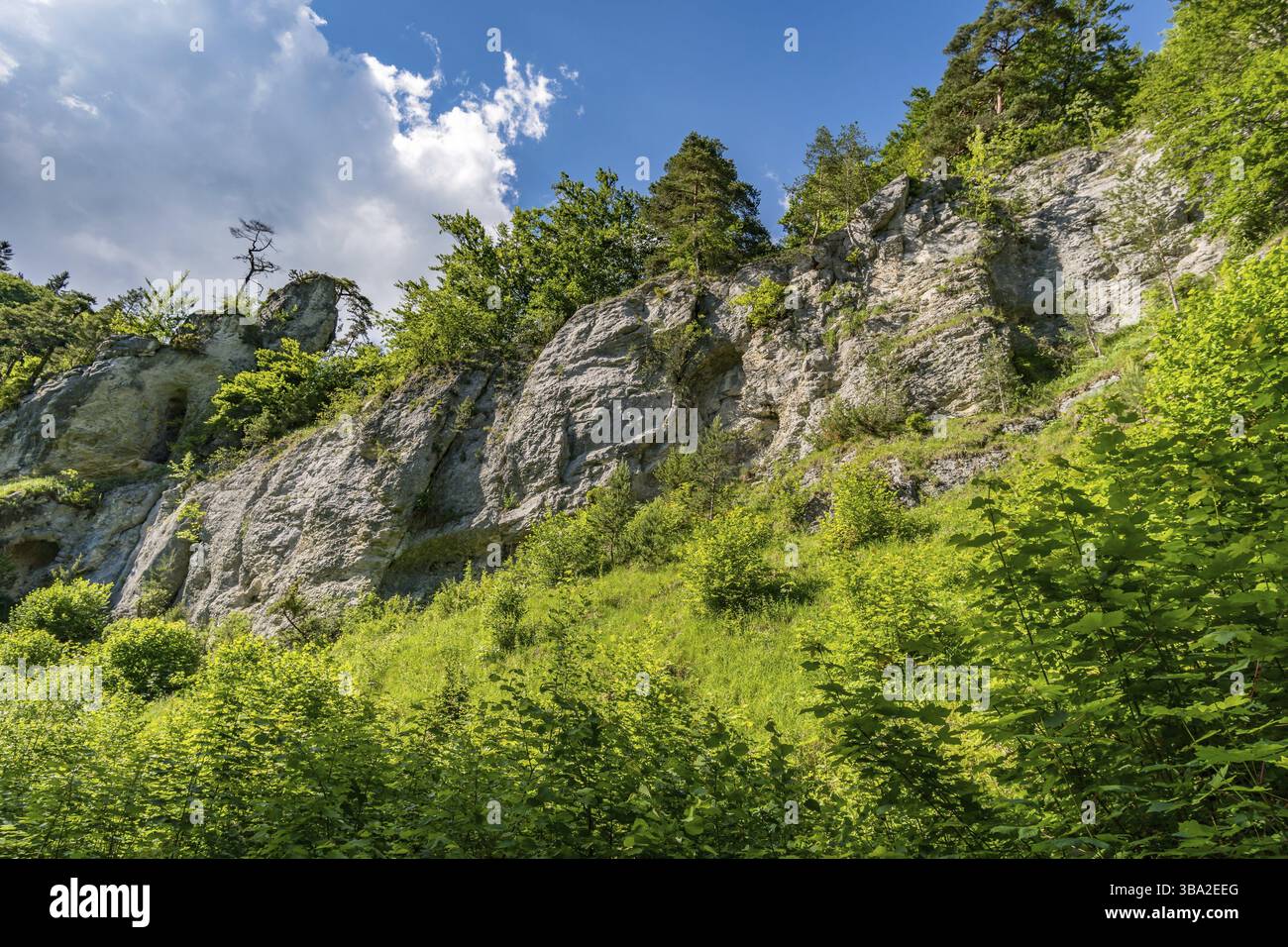 Bella escursione nella valle del Danubio vicino a Barenthal Foto Stock