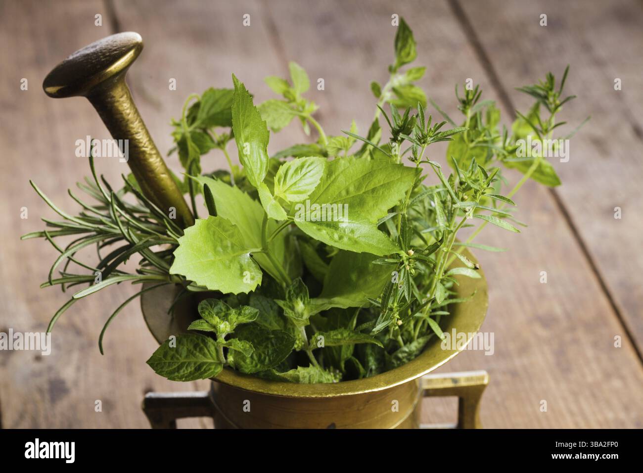 Le erbe fresche nel mortaio di rame sul tavolo Foto Stock