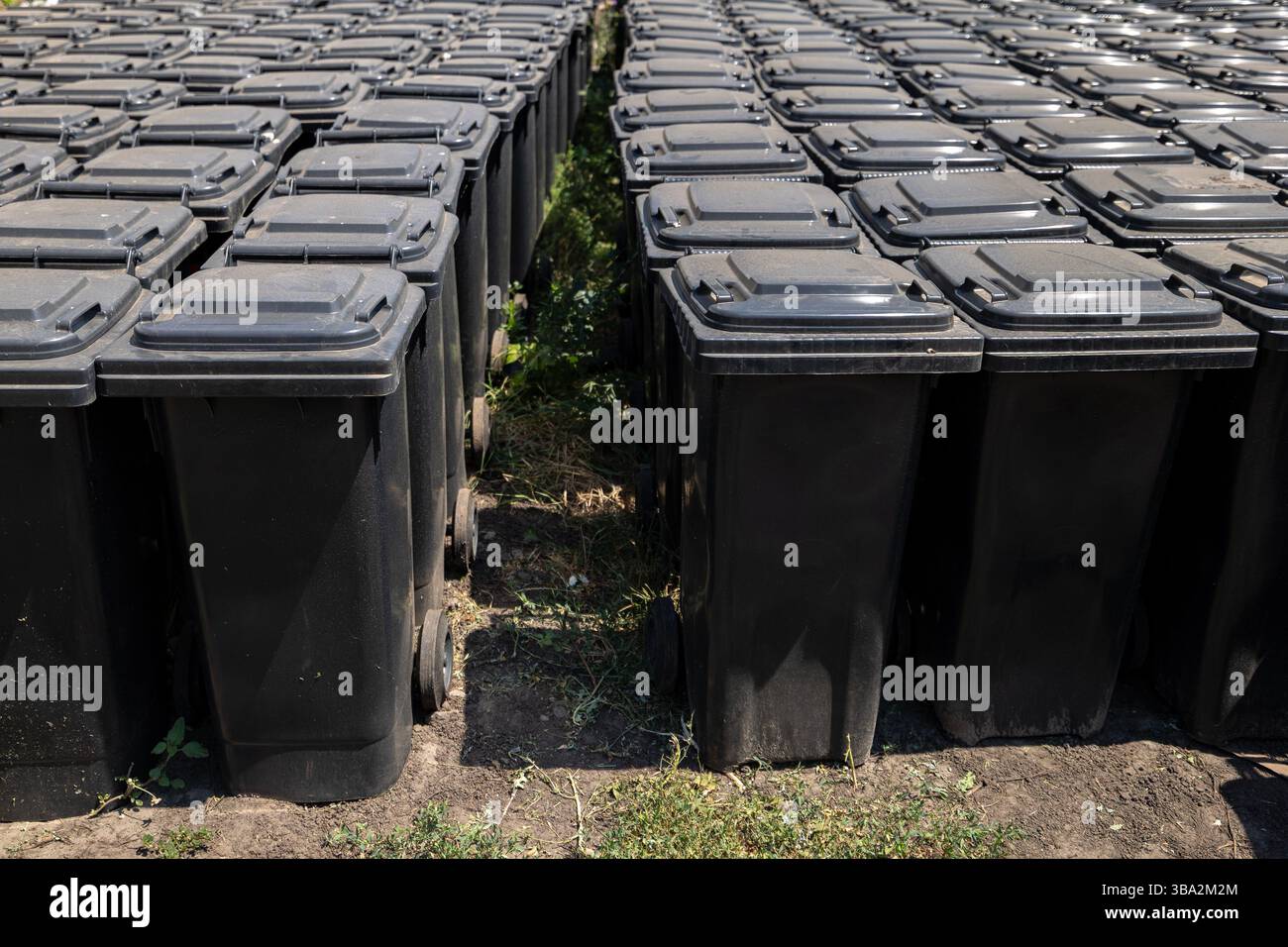 Un gran numero di contenitori per rifiuti neri disposti in file presso un impianto di stoccaggio per un servizio di rimozione dei rifiuti. Si sono organizzati in modo ordinato e pronti per il quartiere Foto Stock