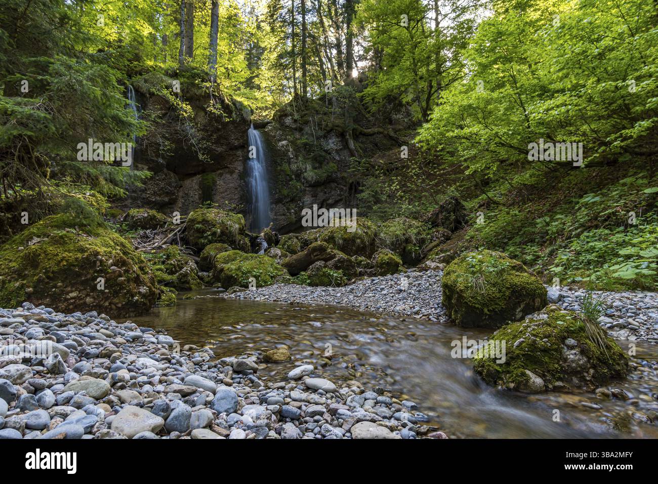 Attraverso la splendida riserva naturale Aachtobel nella valle Gunzesried nel Allgau Foto Stock