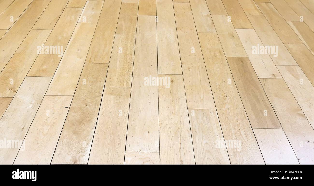 Superficie del pavimento in legno morbido marrone chiaro come sfondo, parquet in legno verniciato. Vista dall'alto con motivo laminato in rovere lavato con grunge vecchio Foto Stock