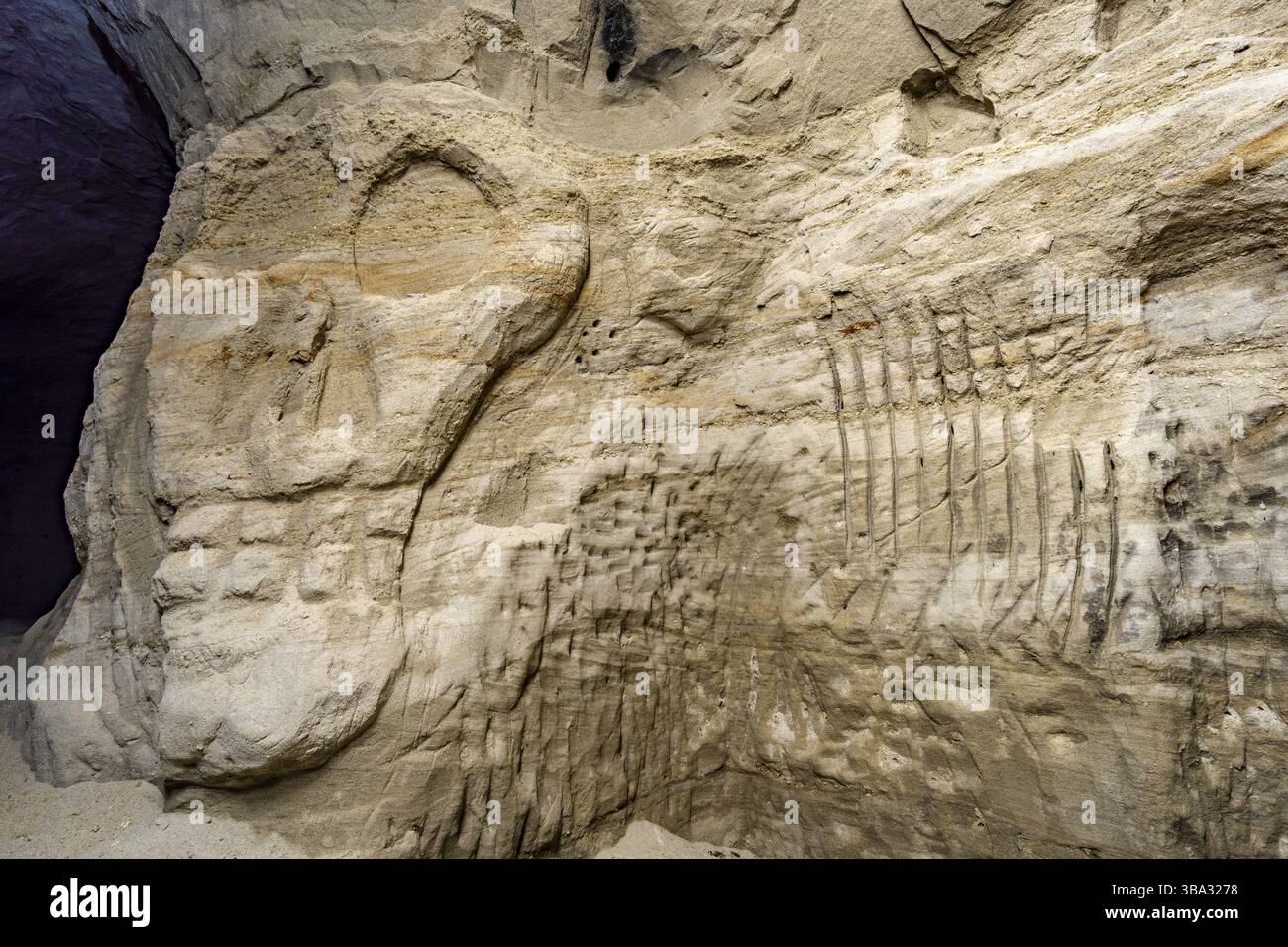 Ho scoperto alcuni vecchi tunnel della seconda guerra mondiale nell'alta Svevia da contadini e civili Foto Stock