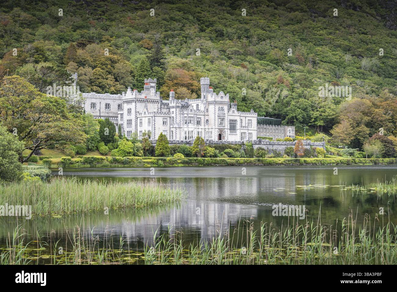 Kylemore Abbey, bellissimo castello bianco riflesso nel lago ai piedi di una montagna. Monastero benedettino fondato nel 1920, Connemara, Galway, Irlanda Foto Stock