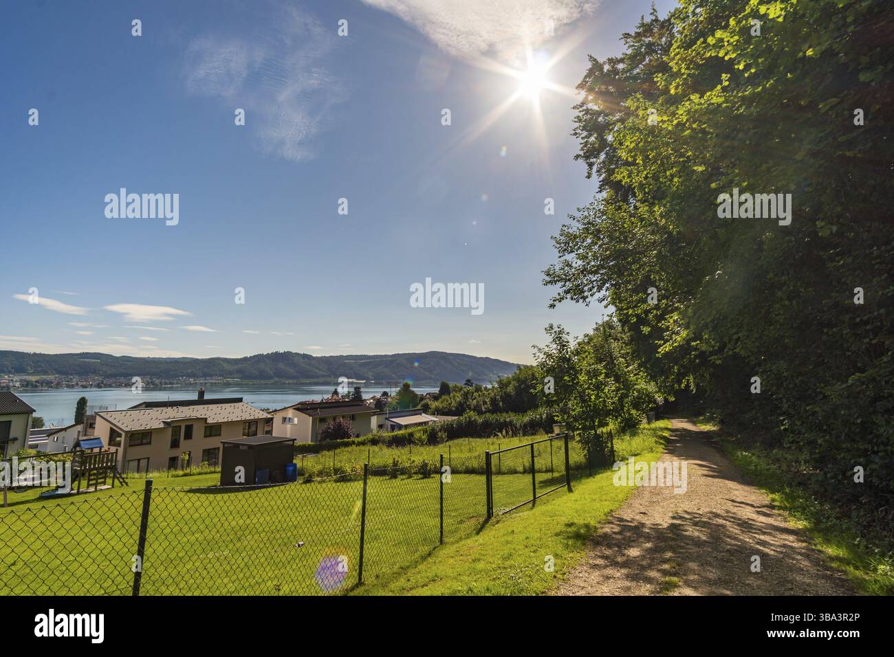Sul meraviglioso sentiero escursionistico a lunga percorrenza, Seegang sul lago di Costanza, Germania, Europa Foto Stock