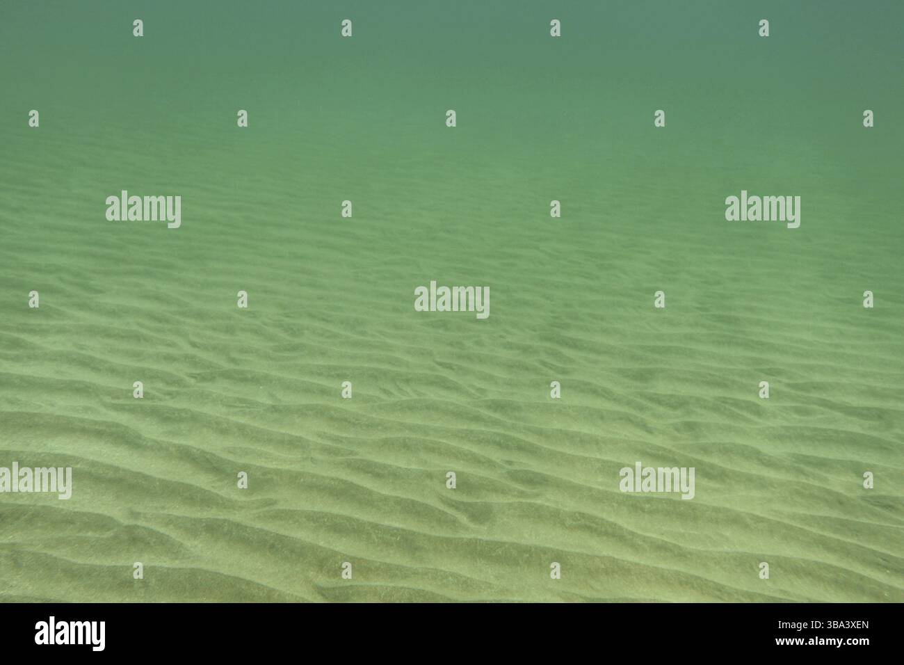 Foto subacquee - fondo marino quasi piatto, solo piccole dune di sabbia visibili. Sfondo marino astratto, Lapta, Cipro, Europa Foto Stock