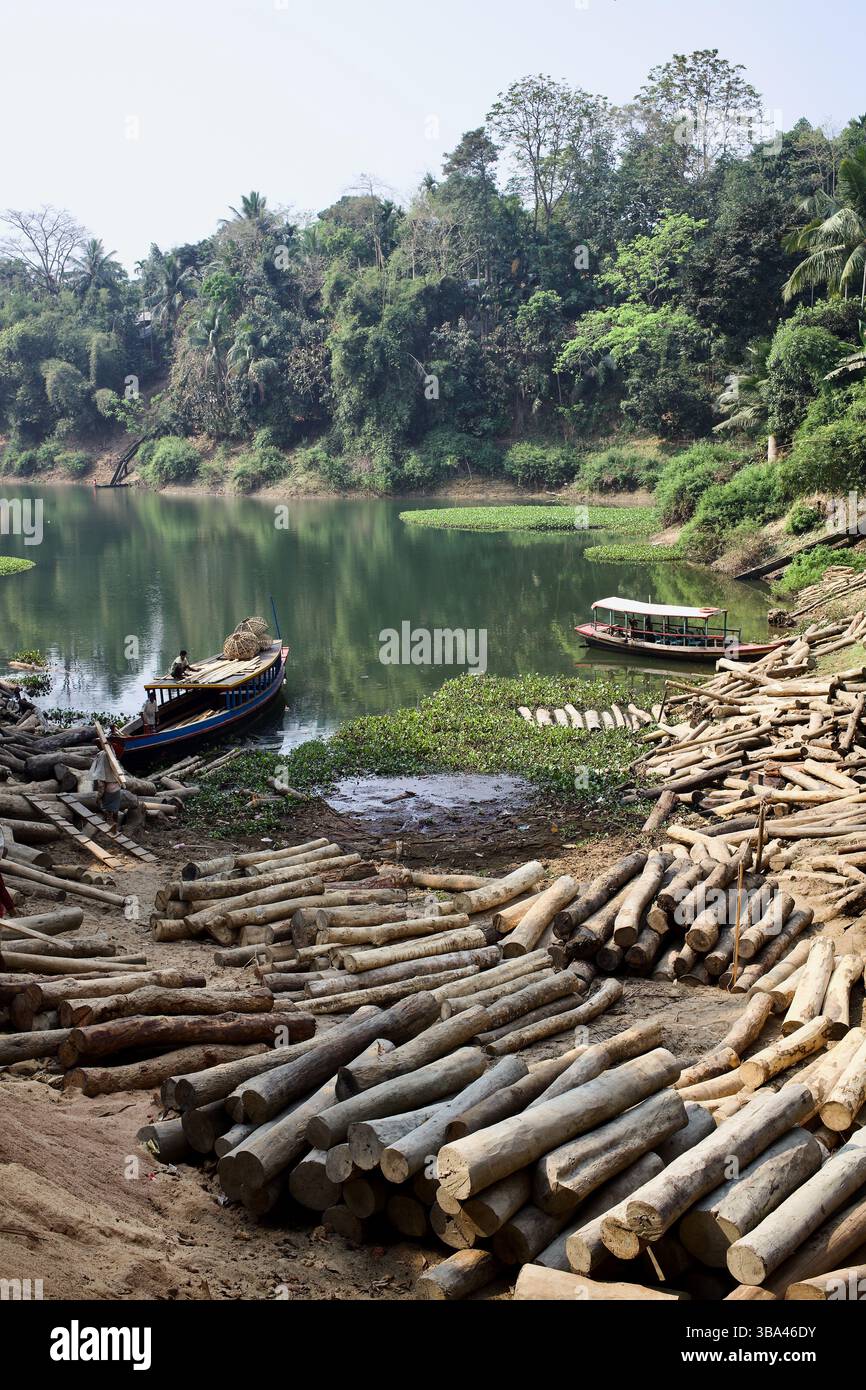 Tronchi di legname accumulati lungo le rive del lago Kaptai a Rangamati, Bangladesh, dove le barche supportano le operazioni locali di disboscamento nei tratti collinari. Foto Stock