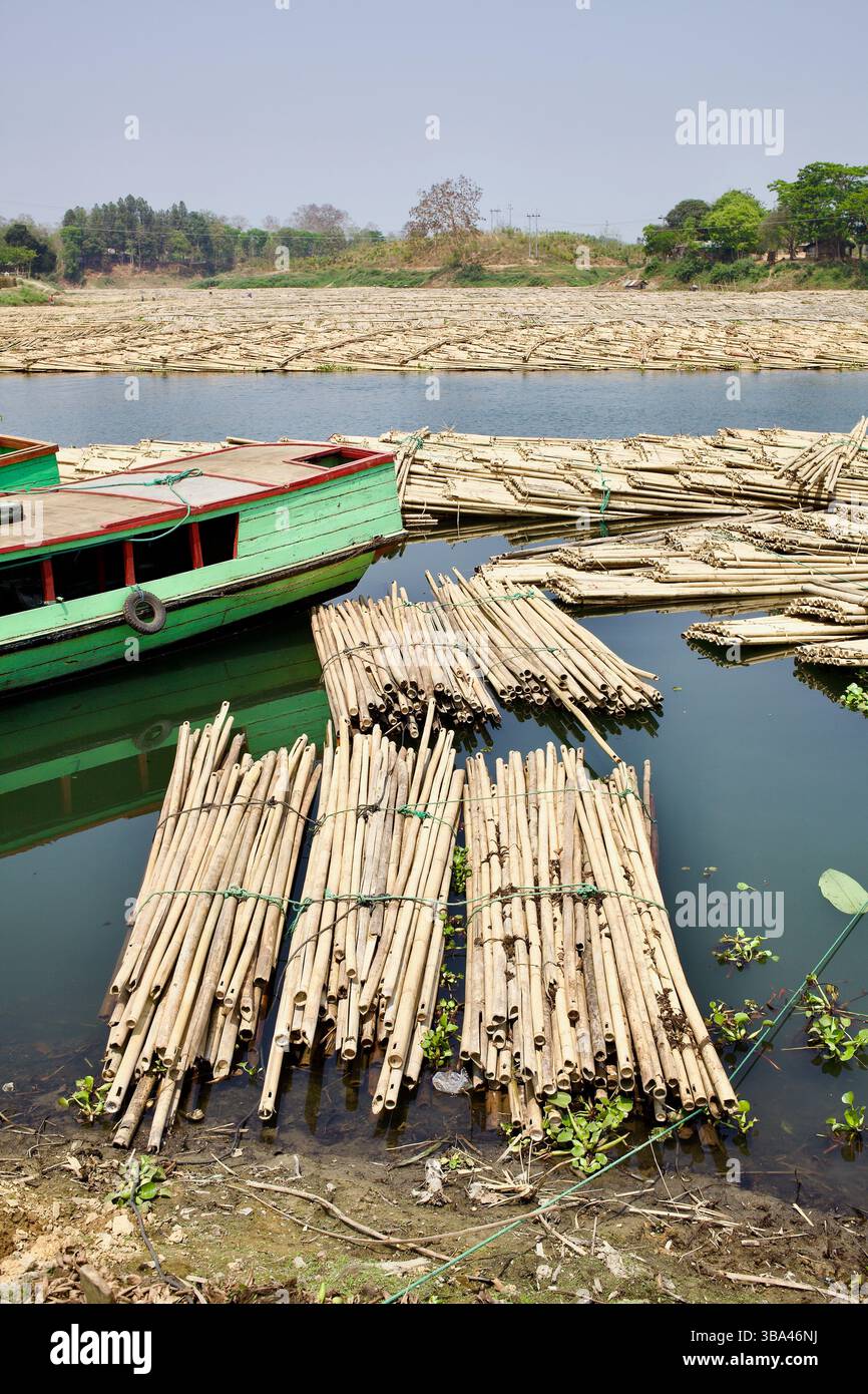 I fasci di bambù legati alle zattere galleggiano sul lago Kaptai, pronti per essere trasportati a valle nell’ambito del commercio interno del Bangladesh di bamboo. Foto Stock