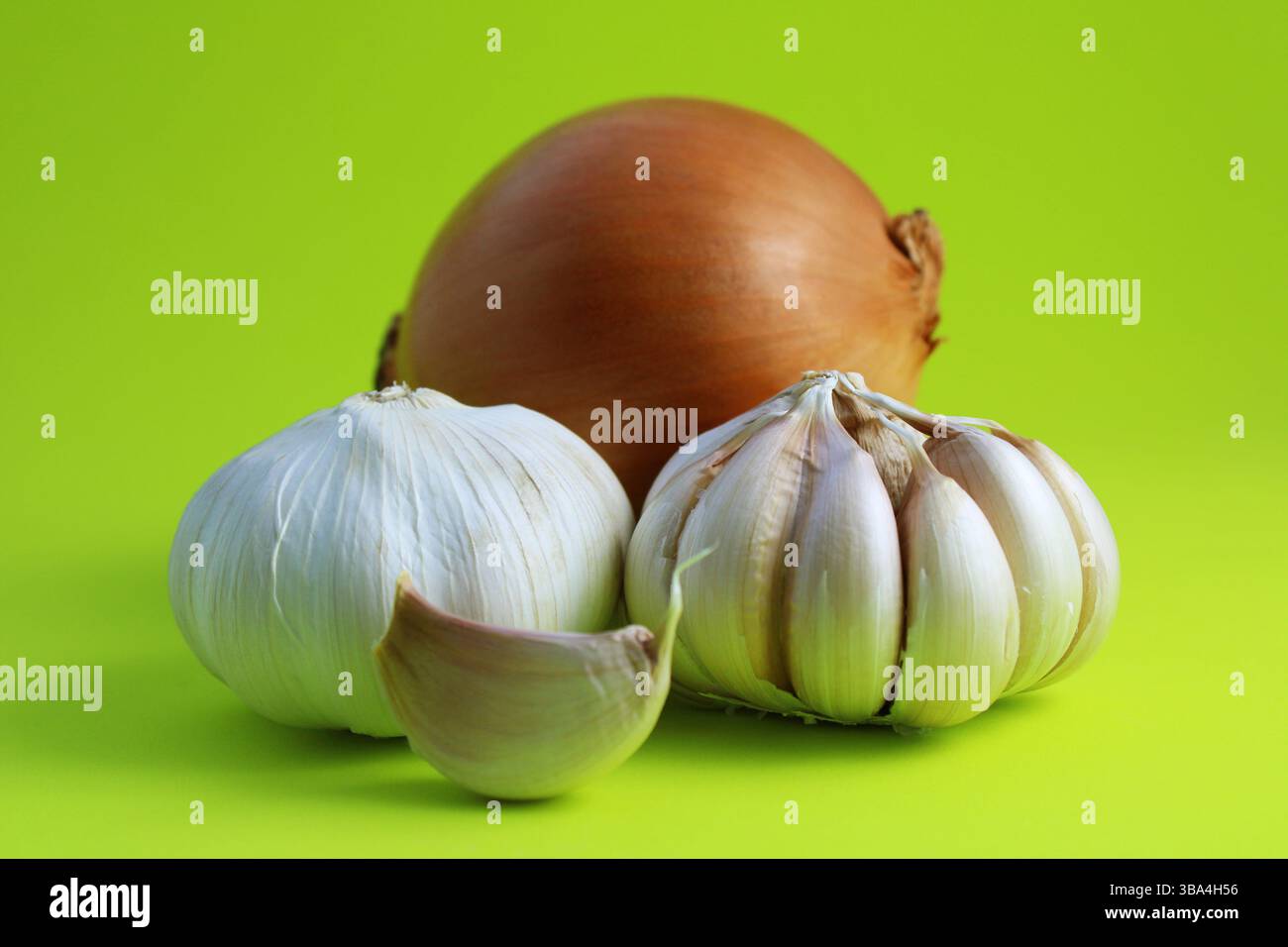 Teste di aglio e cipolla, condimenti nutrienti per condire gli alimenti Foto Stock