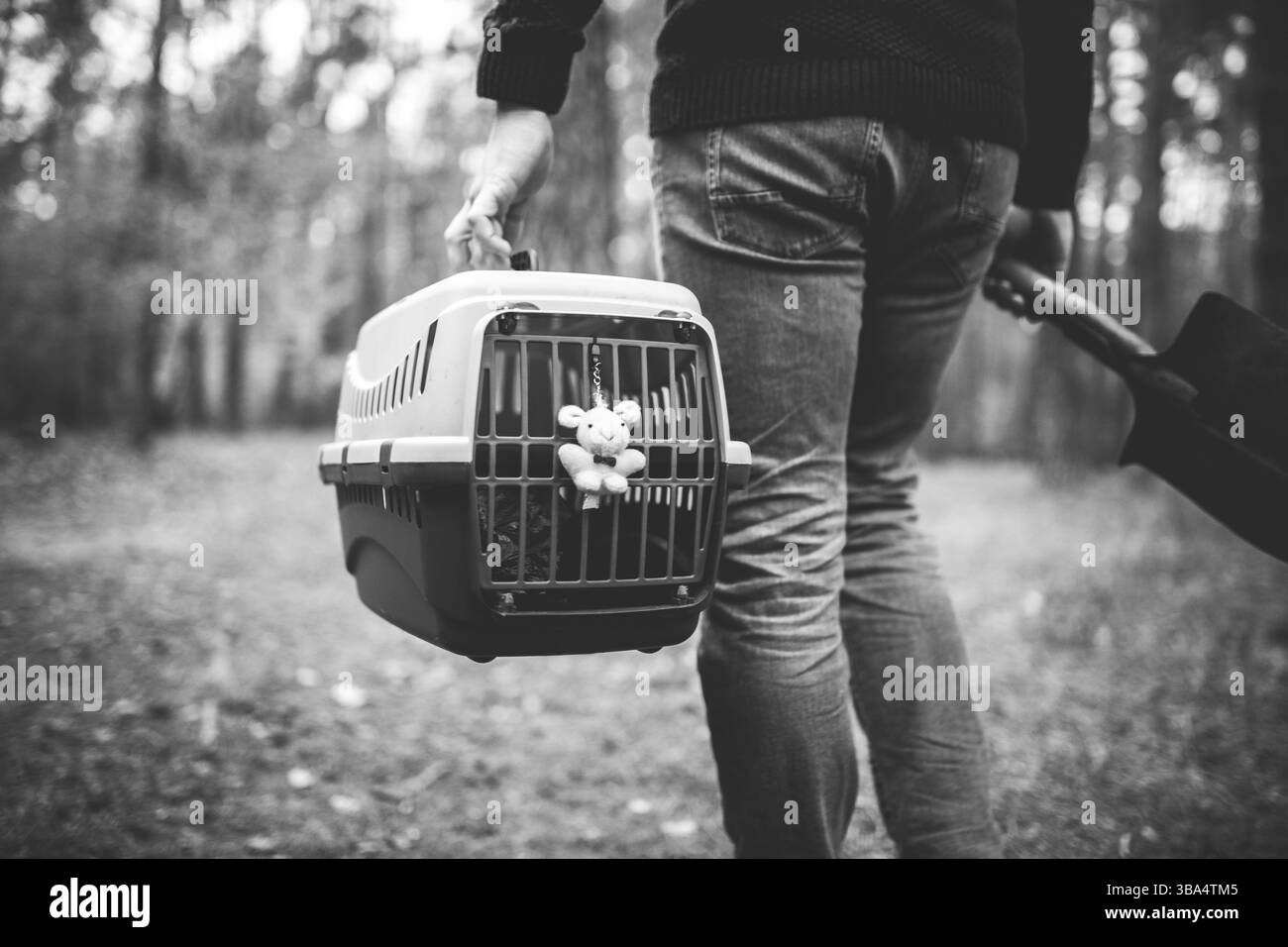 Tema della sepoltura illegale di animali domestici nella foresta. Sepoltura self-service per animali domestici in boschi. L'uomo porta il portatore con il gatto o il cane morto e una pala grande per seppellire dentro Foto Stock