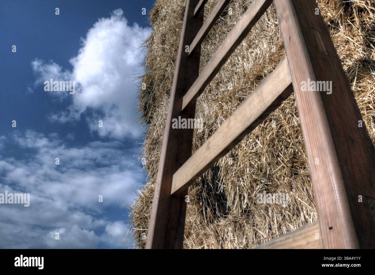 Una versione modificata di una istantanea della vita sulla terra Foto Stock