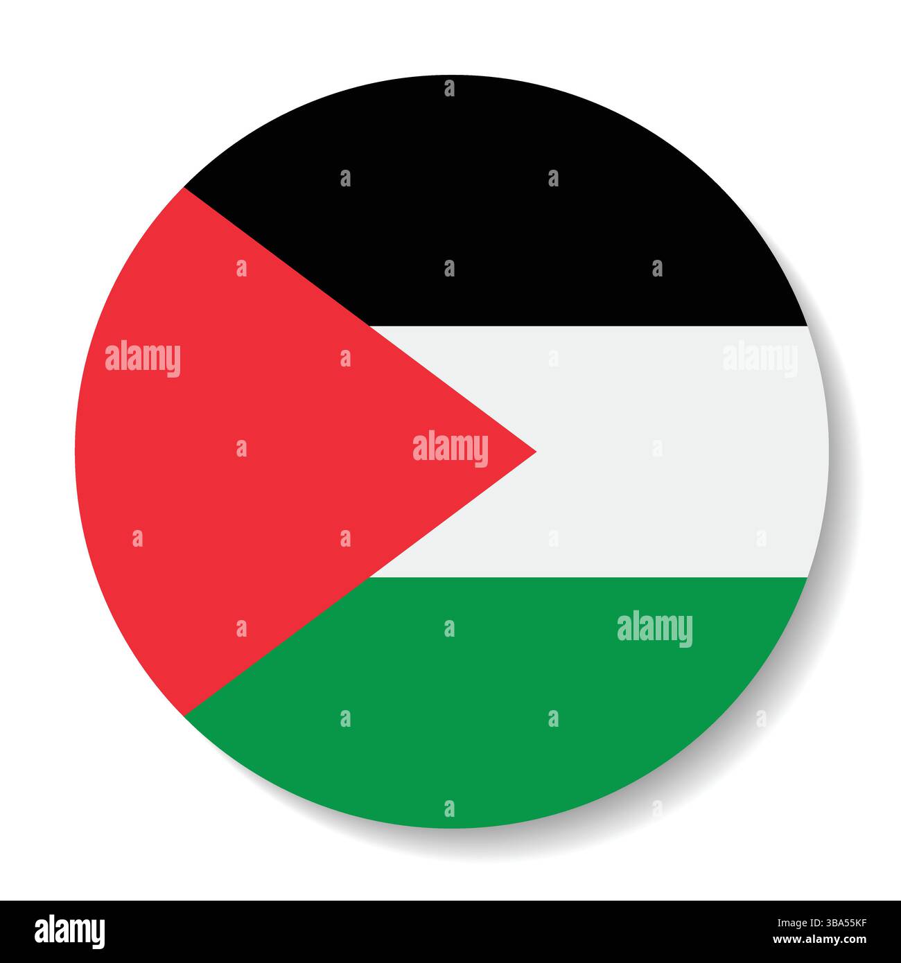 Bandiera della Palestina. Icona del logo della bandiera del cerchio Palestina disegno di illustrazione vettoriale del computer. Illustrazione Vettoriale