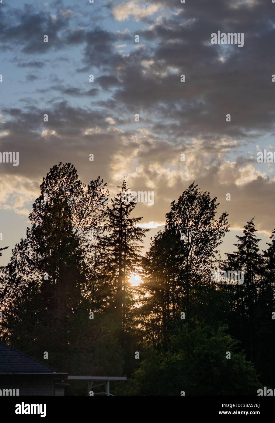 Foto di un tramonto con alberi di sfondo Foto Stock