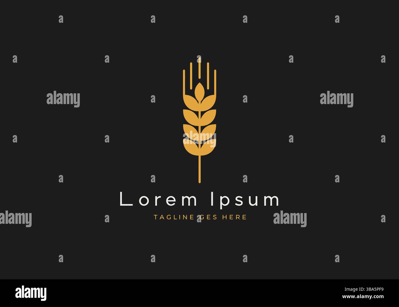 Elegante logo Golden Wheat su sfondo nero Illustrazione Vettoriale