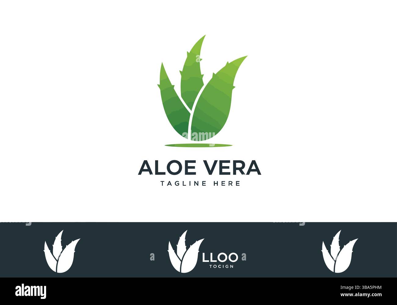 Logo aloe vera – Branding pulito e versatile Illustrazione Vettoriale Logo aloe vera – Branding pulito e versatile Illustrazione Vettoriale