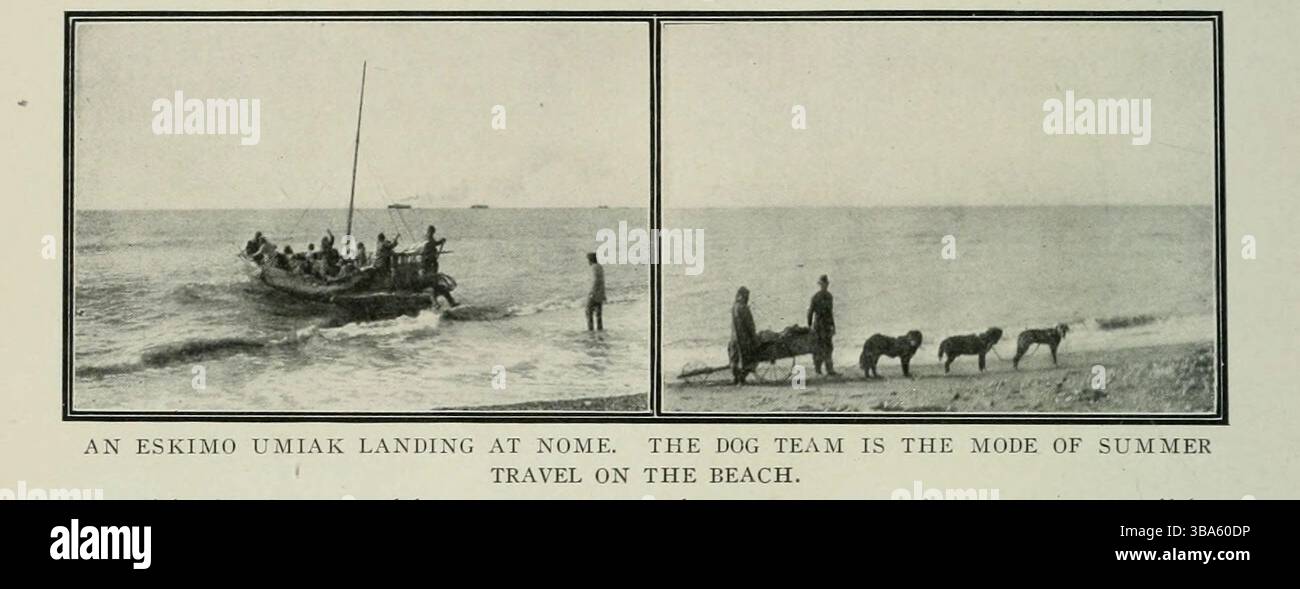 UN ESKIMO UMIAK ATTERRA A NOME. LA SQUADRA DI CANI È IL MODO DI VIAGGIARE ESTIVO SULLA SPIAGGIA. Dall'articolo L'APERTURA DEL TERRITORIO DELL'ALASKA. Di Harrington Emerson. Fotografie di E. A. Hegg e Kinne, dalla rivista Engineering dedicata al progresso industriale volume XXIV ottobre 1902 - marzo 1903 The Engineering Magazine Co Foto Stock