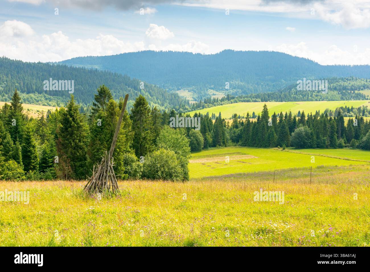 paesaggio dei carpazi con cielo nuvoloso in estate. splendido panorama all'aperto nella valle. splendida zona rurale in una giornata di sole Foto Stock
