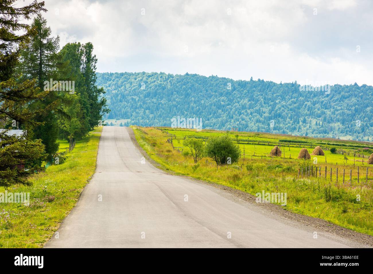 strada di campagna asfaltata dritta su per la collina. alberi e verdi campi rurali lungo il percorso. cielo nuvoloso Foto Stock