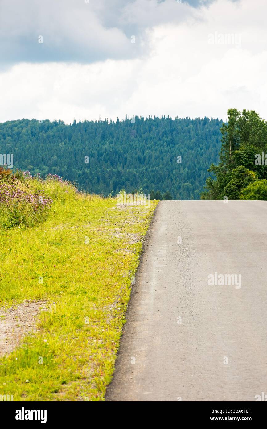 strada di campagna asfaltata dritta su per la collina. percorso attraverso l'area agricola con erba sul ciglio della strada. cielo nuvoloso Foto Stock