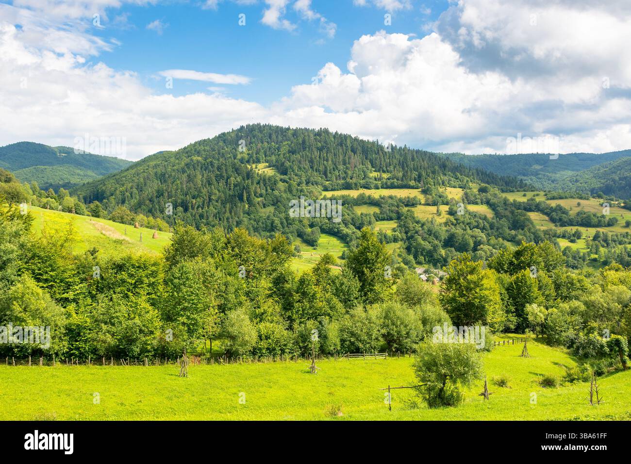 paesaggio di campagna montano in estate. campo rurale e foresta sulle dolci colline dei carpazi sotto il cielo nuvoloso. bellissimo esterno con verde gr Foto Stock