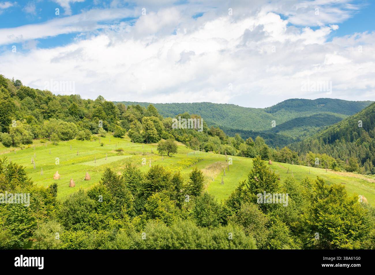 paesaggio di campagna montano in estate. campo rurale e foresta sulle dolci colline dei carpazi sotto il cielo nuvoloso. ambiente pittoresco Foto Stock