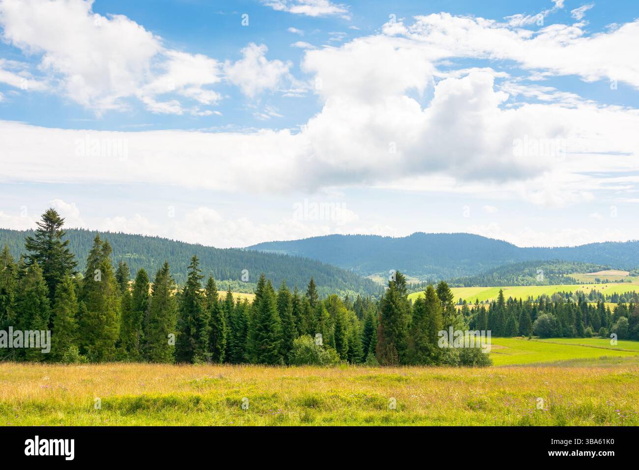 paesaggio dei carpazi con cielo nuvoloso in estate. vista panoramica della campagna per escursioni. splendida zona rurale in una giornata di sole Foto Stock